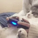 Gaming Club....