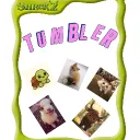 Tumbler Pakistan