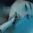 EGIRL CLUB 18+ 🍒🍰 PORN・NSFW・SEX・HENTAI・NUDES・HOT・PORN・ADULT・NUDE・ASS・SOCIAL・COMMUNITY・EGIRLS Discord server icon