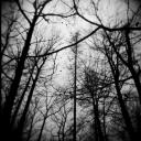Morgue