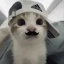 ꜱᴡᴀɢꜱᴛᴇʀꜱ