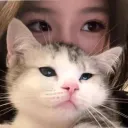 kitty