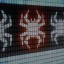 Spider Society