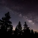 Nightcord