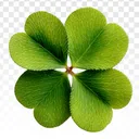 🍀 LEAF 🍀