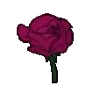 istersen kıyas olur discord icon