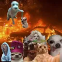 The Doom Bringers