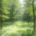 ﹒⌗﹒🍀﹒ᴘᴜᴘᴘᴇᴛᴛʀʏ {ᴀ ʀᴘ sᴇʀᴠᴇʀ}