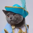 Muskeetering Cats