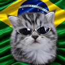 VRZX DO BRAZIL icon
