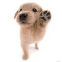 be my friend dawg :pray:
