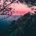 ɴᴀᴛᴜʀᴇ ʟᴏᴠᴇʀꜱ | 16+