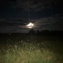 ･:*⋆-     peacefield