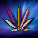 18+ | Friendly Stoners