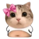 (*≧ω≦)