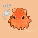 Dumbo octopuses