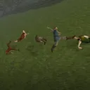 Cheese Rolling 2