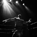 Fight Lounge