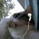 𝒯𝒽𝑒 𝒬𝓊𝒾𝑒𝓉 𝑅𝑜𝑜𝓂