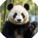 Panda Softwares