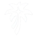 Coral Support