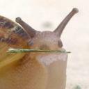 🐌Snurch🐌