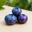 Blueberry loúnge ☕