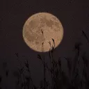 MoonFall