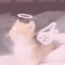 ୨୧ ﹙ clusterfuck central﹚ 𝄒  𝄞  ✮