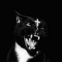 Server Icon