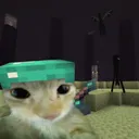 theocrakitty's server