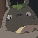 Totoro's hangout