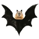 Capybats ཐིᗢཋྀ