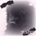 𓈒  ノ𝐶ℎ𝑒𝑤𝑡𝑜𝑦 ݂♡