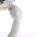 .gg/wu