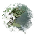 𝐓𝐇𝐄 𝐑𝐀𝐈𝐍𝐅𝐎𝐑𝐄𝐒𝐓