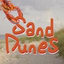 Sand Dunes 🦞 System Server