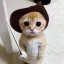 ૮꒰Kool Kittehs◞ ྀི◟NEW!꒱ა