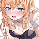 Looking for a partner