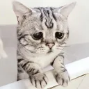 Looking for a gf