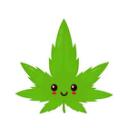 POMOC WROCLAW OKOLICE |🌿❄ server icon