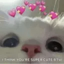 女の子のみ discord icon