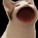 𝓢𝓸𝓽𝓪𝓷𝓸 𝓭𝓮𝓵 𝓫𝓮𝓻𝓷𝓲