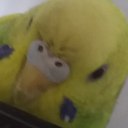 Drud's server server icon