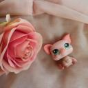 The Littlest Pet Shop Community [18+]