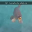 He's the only fish that talks to me