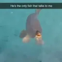 He's the only fish that talks to me