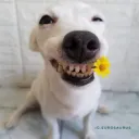 looking :p