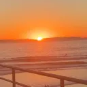 Sun flower