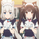 /kittycafe